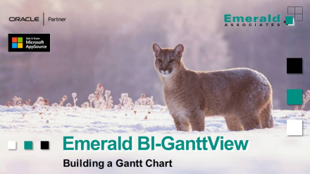 Building a Gantt Chart With the Emerald BI-GanttView Mini Webinar - 2025-10-30